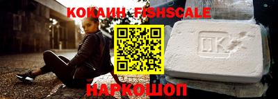 крисы Кулебаки