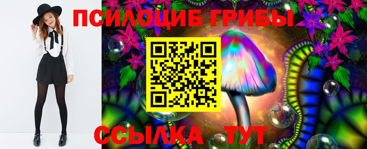 Нижнекамск  Псилоцибиновые грибы мицелий  Псилоцибиновые грибы Magic Shrooms  Вход с VPN 